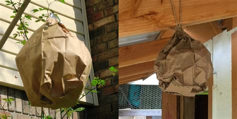 make your own fake wasp nest plastic bag|wasp nest diy.